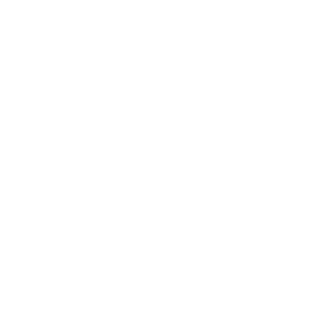 ayyam logo